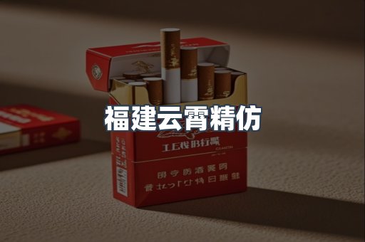 福建云霄精仿